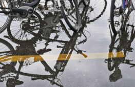 012 - das kuehle Nass im 2021